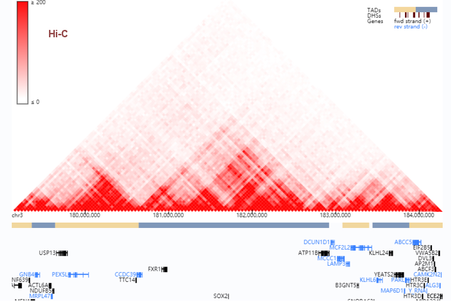 3D Genome browser: visualize Hi-C, ChIA-PET, HiCHiP, PLAC-Seq